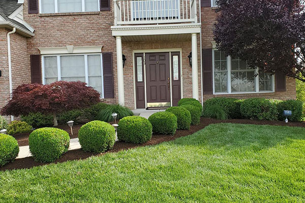 Chalfont Landscaping Services PA 18914 Chalfont Pennsylvania Landscaping Services 01
