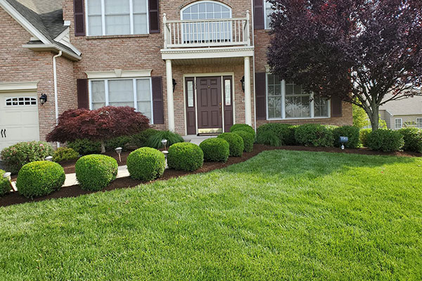 North Wales Residential Landscaping Services PA 19454 - Landscaping Services North Wales Pennsylvania